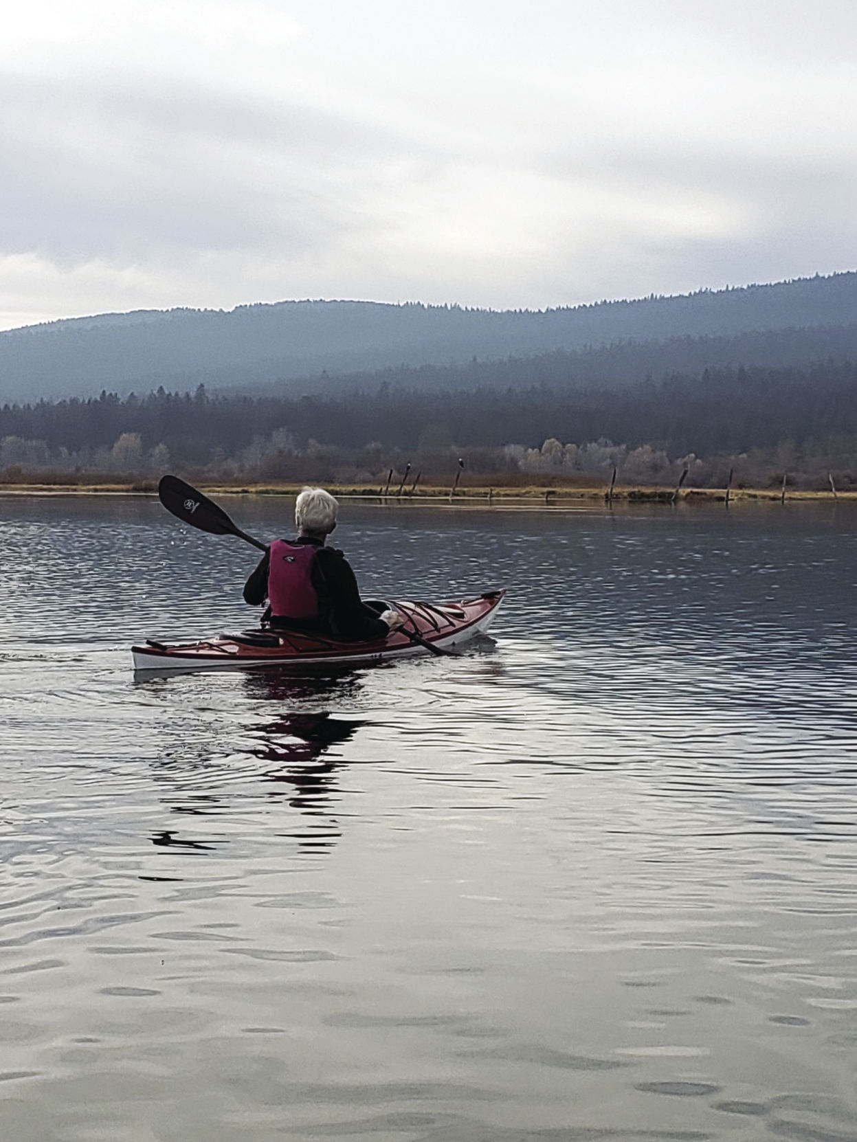 han-20191113-paddle 2.jpg